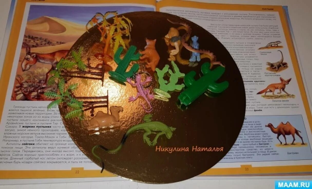 Макет пустыни 4 класс. Макет пустыня для детского сада своими руками. Макет пустыни для детского сада. Макет пустыня для детского сада. Макет пустыни для детского сада.