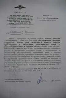 Заключение ввк что значит