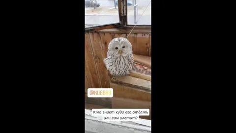 Залетает в дом песня