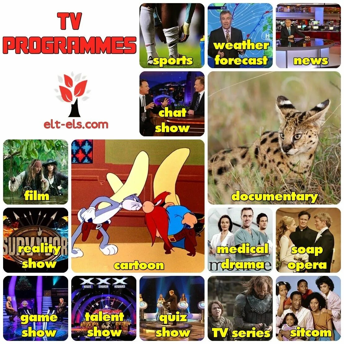 Tv programmes words. TV programmes. Телевизионные программы на английском. Виды TV programmes. TV programs на английском.