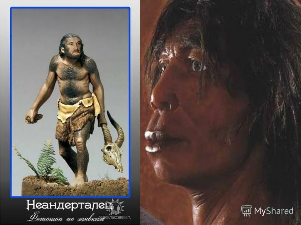 актер неандерталец