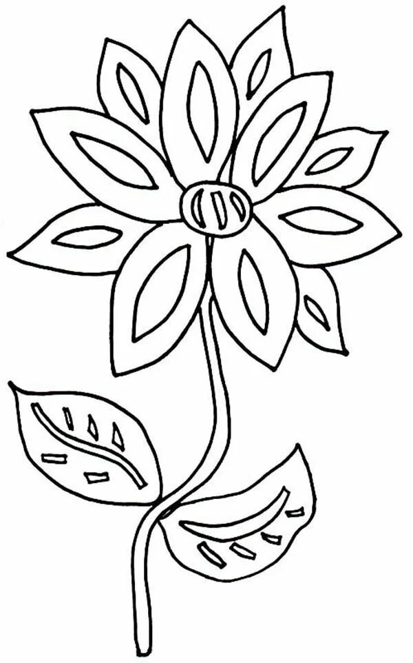 ВКонтакте Paper flower crafts, Coloring pages, Bff birthday