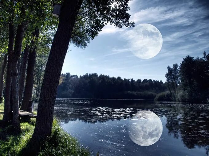 Луна купается. Лунный пруд. Отражение Луны. Месяц над прудом. Луна над озером.