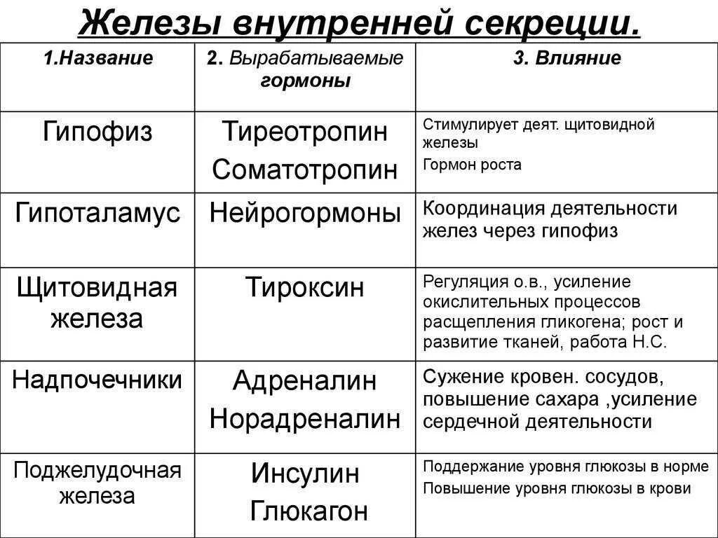 Функции желез внутренней секреции таблица. Эндокринная система железы внутренней и внешней секреции. Функции желез внутренней секреции таблица гормоны. Физиология желез внутренней секреции таблица функции. Роль и функция гормонов