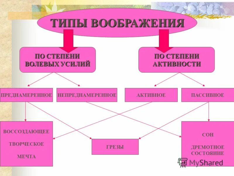 Два примера воображения. Типы воображения по степени волевых усилий. Типизация воображения. Постепени активности ёвидов воображения.