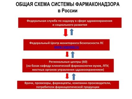 Служба общего надзора
