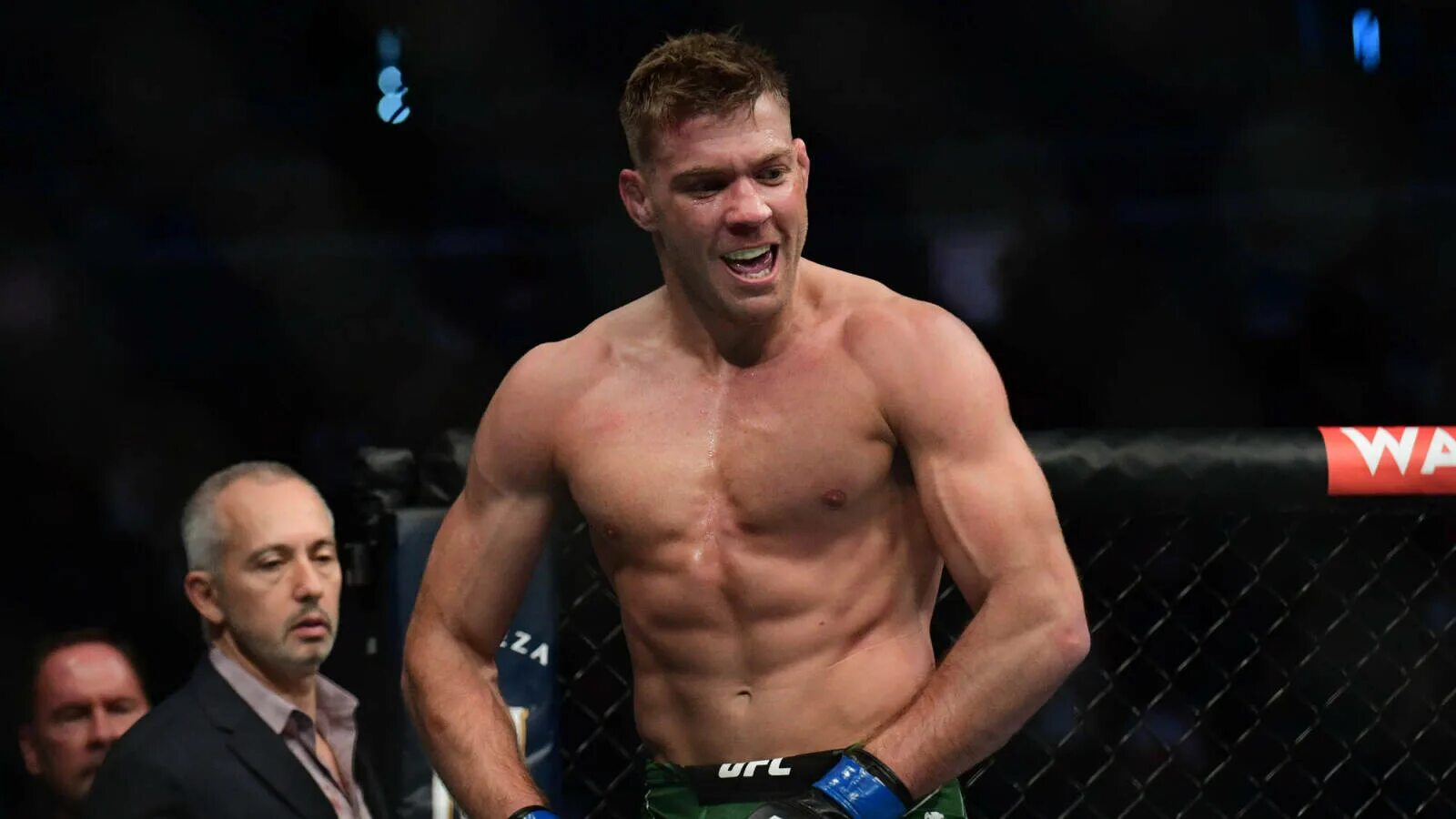 Du plessis ufc. Du plessis ufc. Du plessis ufc. Дю плесси мма. Ufc 252 кард.