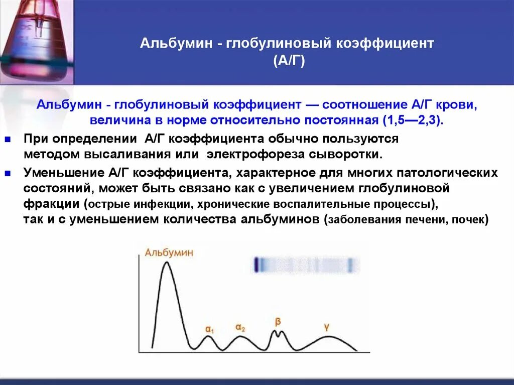 Соотношение альбуминов и глобулинов норма. Соотношение альбумина и глобулина норма. Альбумино-глобулиновый коэффициент норма. Альбумин глобулиновое соотношение норма.