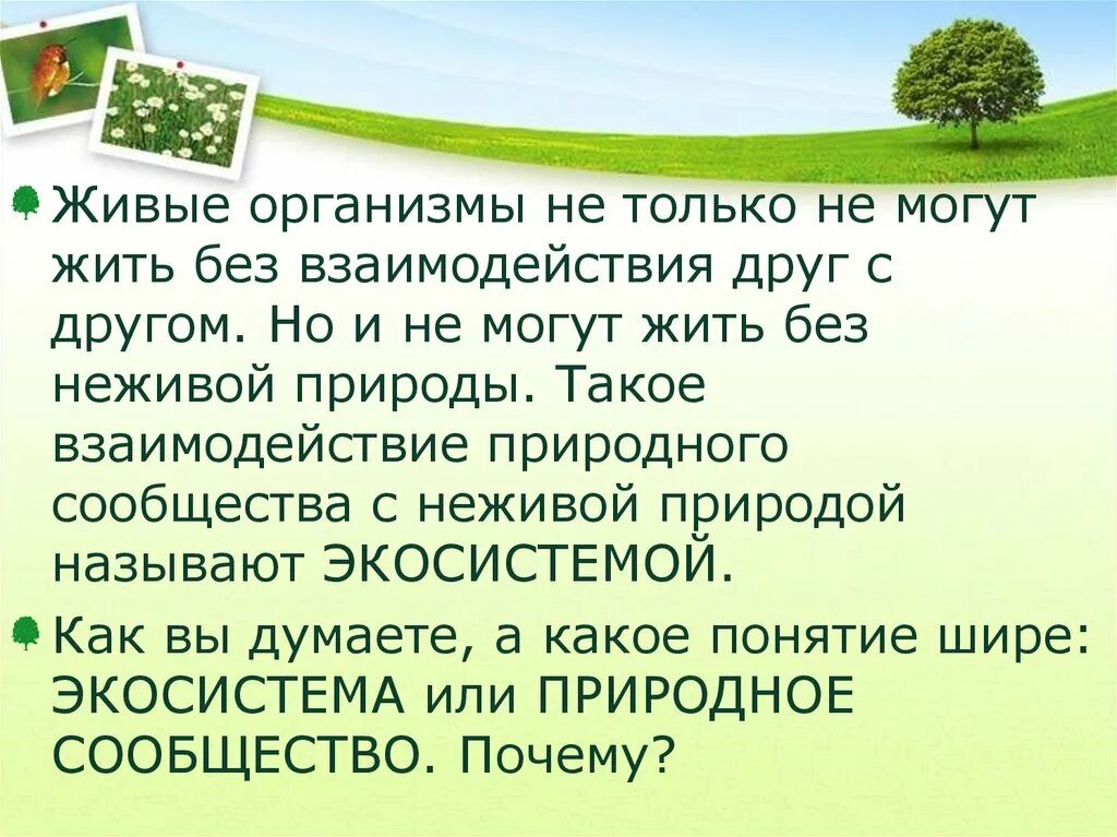 Понятие о природном сообществе тест. Взаимосвязи организмов в природных сообществах. Взаимосвязи в природном сообществе. Взаимоотношение организмов в природном сообществе. Организмы в природных сообществах 5 класс.