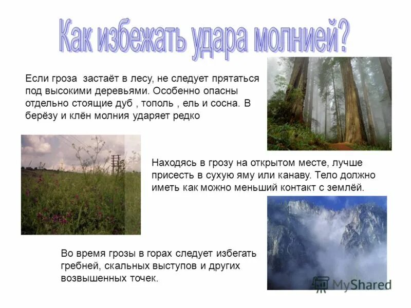 что делать если гроза застала в лесу. если гроза застала вас в лесу. презентация если в лесу вас застигла гроза. если застала гроза. презентация если в лесу вас застигла гроза.