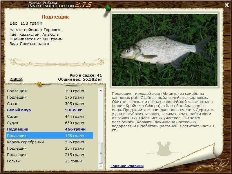 Реальная рыбалка на что ловить язя Скидки на приложения и игры для Android: 23 февраля 4PDA