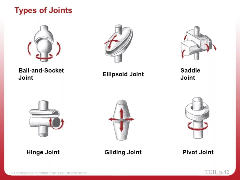 Tip detail. Types of Joints. Classification of Joints. Type of Joint/ Тип стыка. "C" Type Joint Connector.