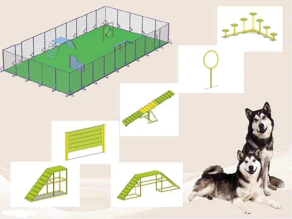 8м 20 20 м. Дрессировочная площадка для собак. Спортивная площадка для собак. План дрессировочной площадки для собак. Площадка для собак проект.