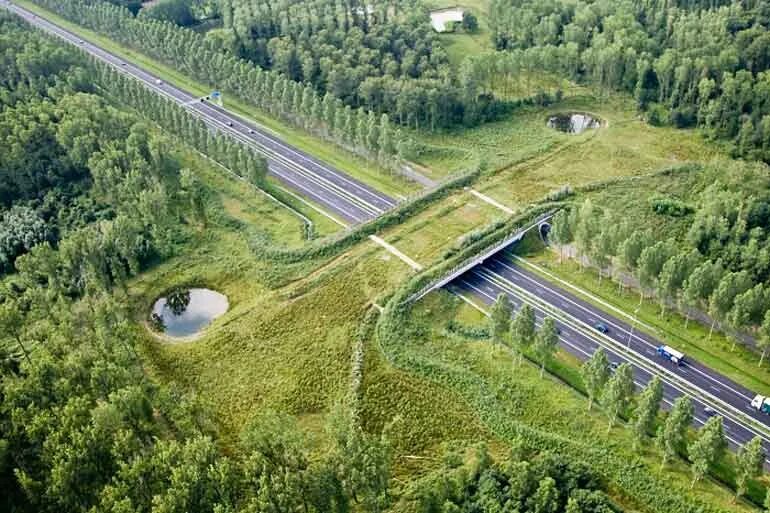 Калужский экодук. Экодук лосиный остров. Экодук лосиный остров. Переход животных. Первый экодук во франции.