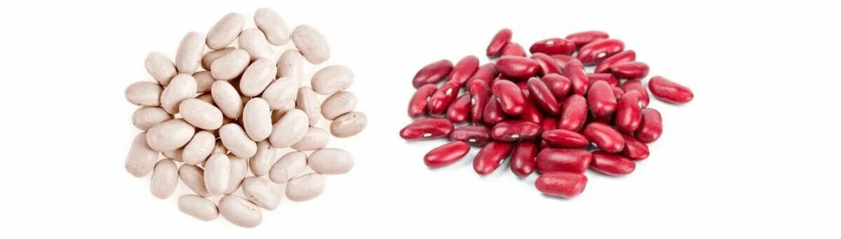 Фасоль белая. Фасоль белая и красная разница. Белая или красная фасоль. Фасоль белая крупная. Фасоль белая.