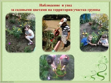 Наблюдение и уход