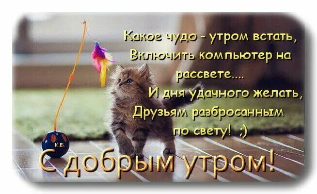 Открытка Доброе утро друзья