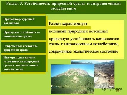 Примеры равновесного состояния природной среды