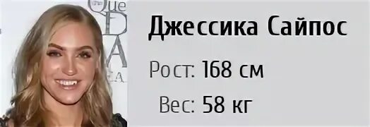 Вес 2024