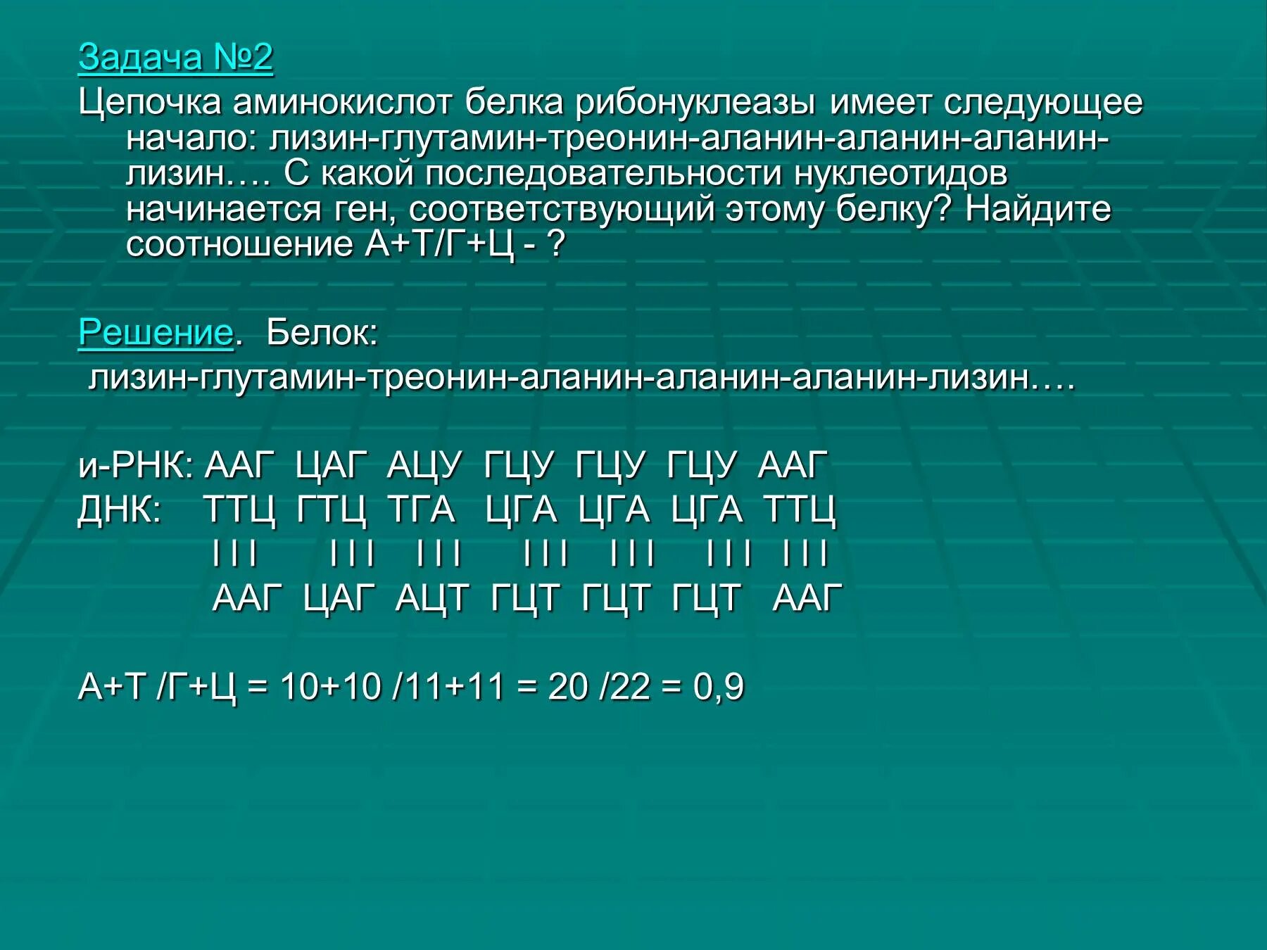 С этой аминокислоты начинается