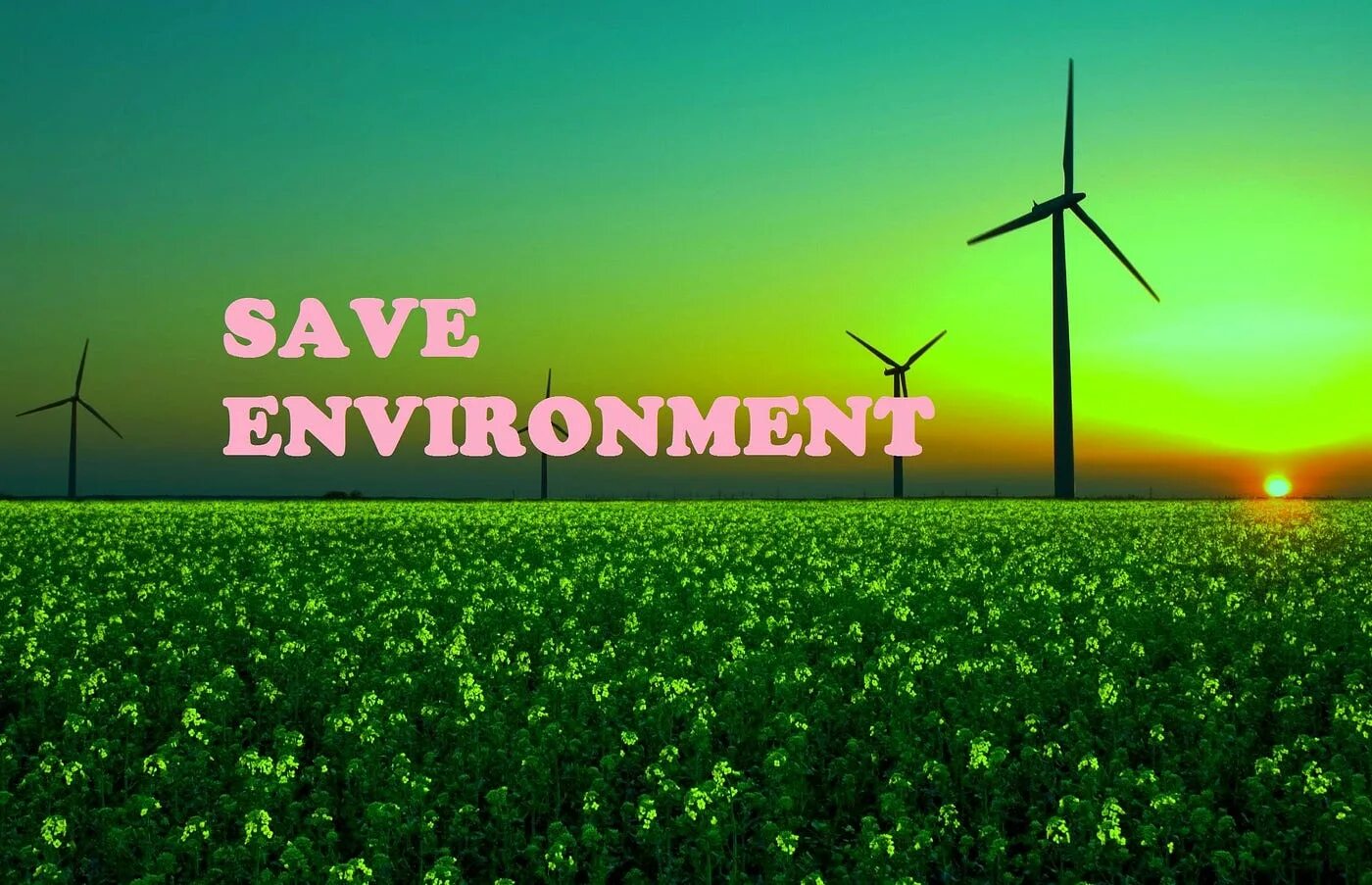 Imaging environment. Save the environment. Environment essay. Saving the environment. Save the environment тема.