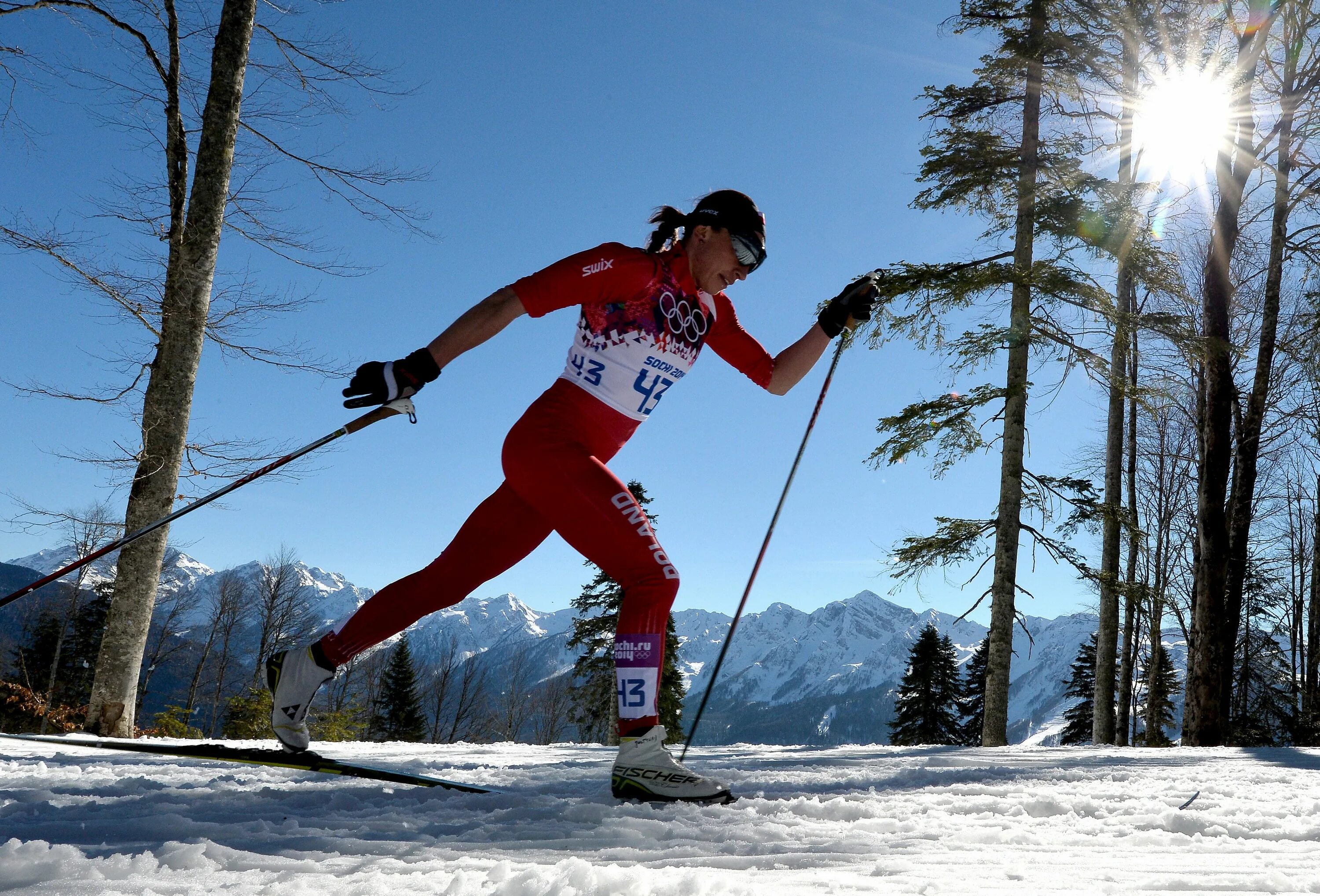 Cross country ski. Лыжные гонки. Лыжи спорт. Спортсмен на лыжах. Лыжник.