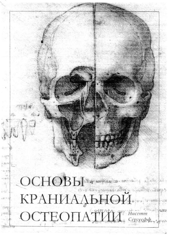 Остеопатия череп. Краниальная остеопатия книга. основы краниальной остеопатии книга. краниальное направление череп.