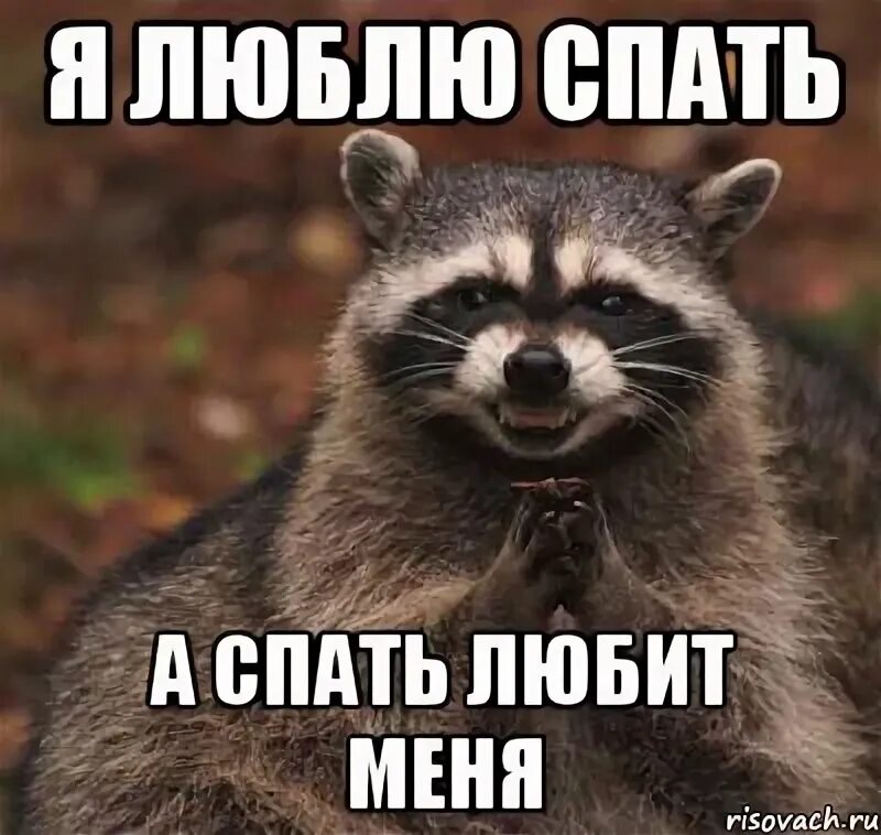 Полюбил спящую