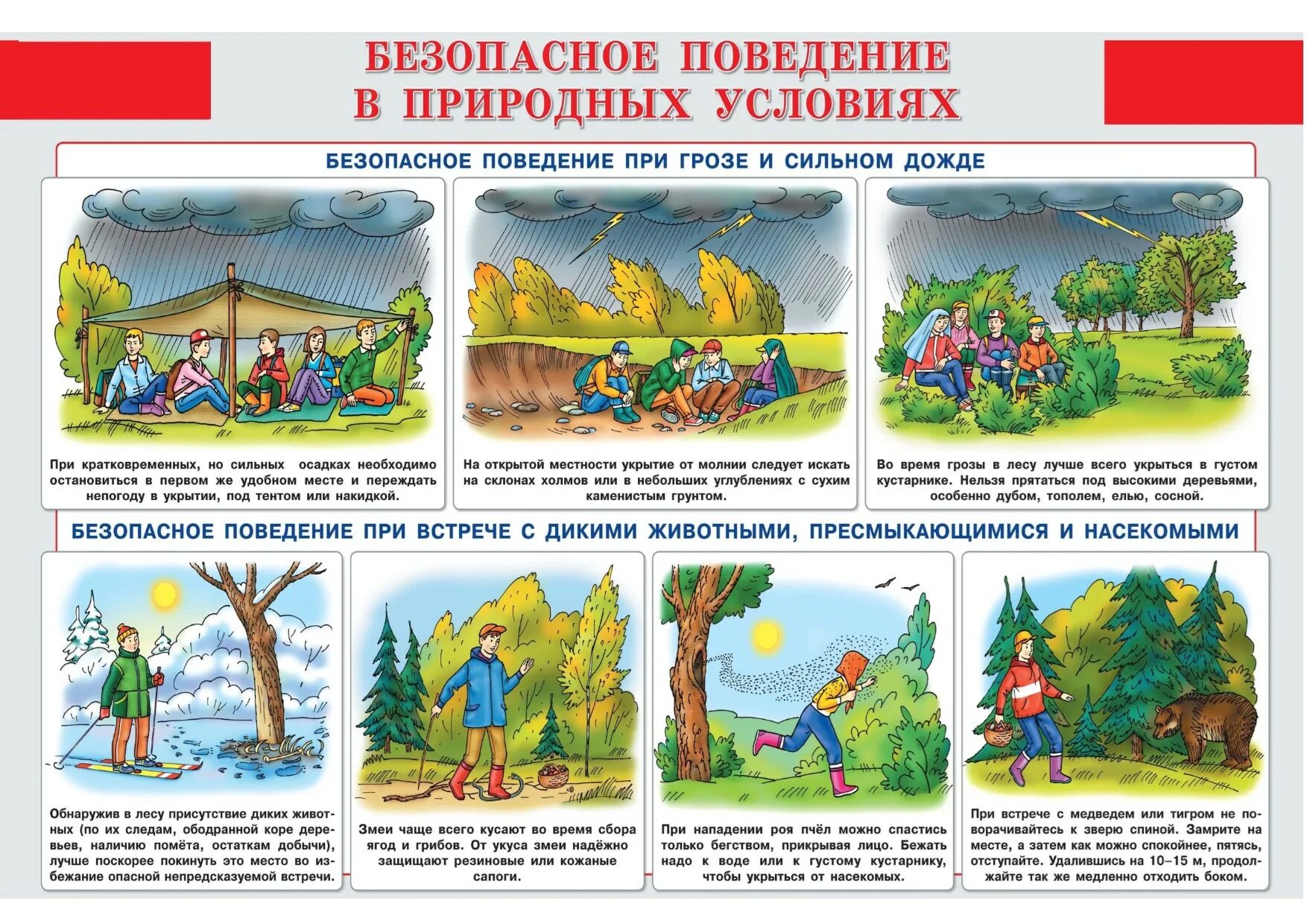 Безопасность на природе. Безопасность в лесу. Опасности в природе для детей. Безопасность на природе для детей. Безопасность на отдыхе на природе