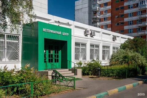 Время вет братиславская ул 32 отзывы