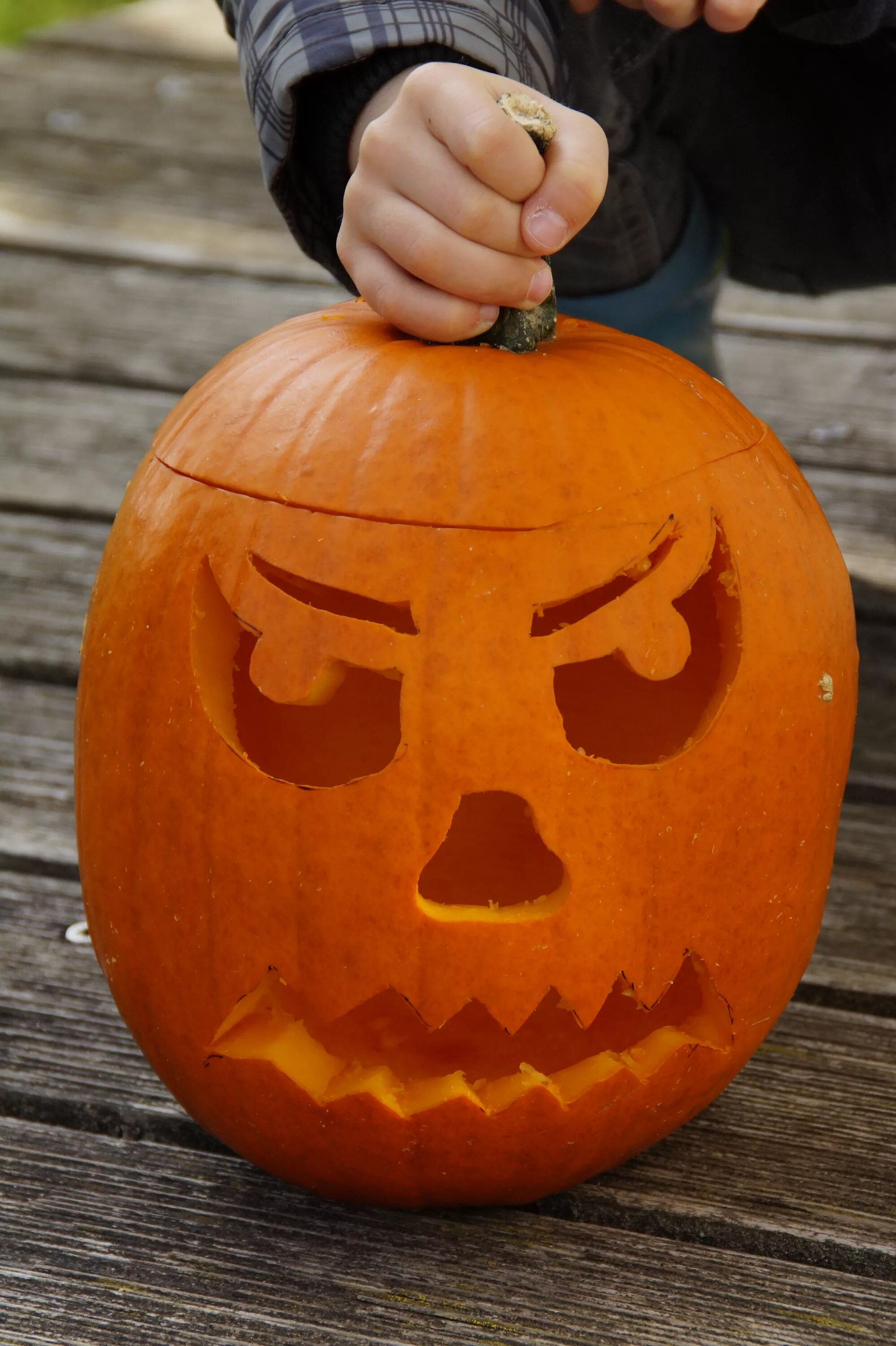 Золотая осень тыквы. Карликовые тыковки. Пампкин пампкин тыква пампкин. Как получить тыкву. Тыква оранжевая полосатая.