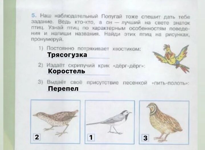 Окружающий мир 4 класс рабочая тетрадь 1 часть стр 72 ответы. Окружающий мир 4 класс рабочая тетрадь 1 часть жизнь Луга. Проекты по окружающему миру 4 класс Плешаков. Окружающий мир рабочая тетрадь 4 класс 1 часть страница 72.