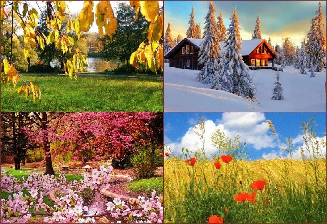 Climate seasons. Времена года. Пейзаж по временам года.