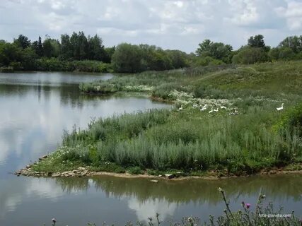 Погода в ливенском районе