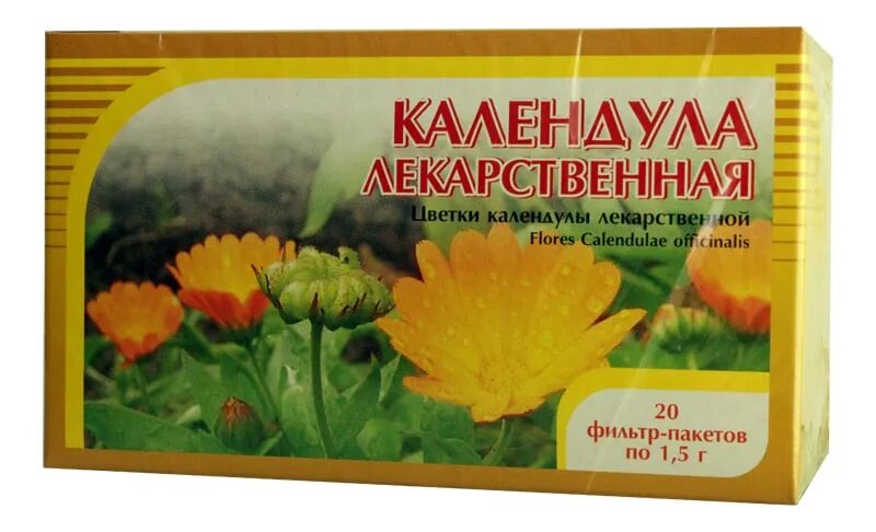 Цветки календулы на латинском. Препараты календулы. лекарственные средства из календулы. календула лекарственная лекарство. препараты цветков календулы.