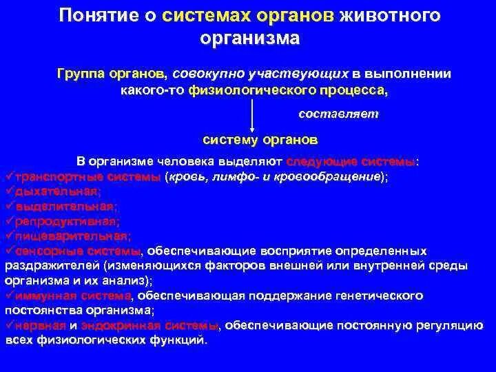 Название групп органов. Определение физиологической системе. Термины по всем системам органов 7 класс. Орган физиология определение. Светопринимающая группа органов.