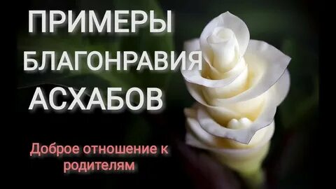 Урок благонравия глава первая она