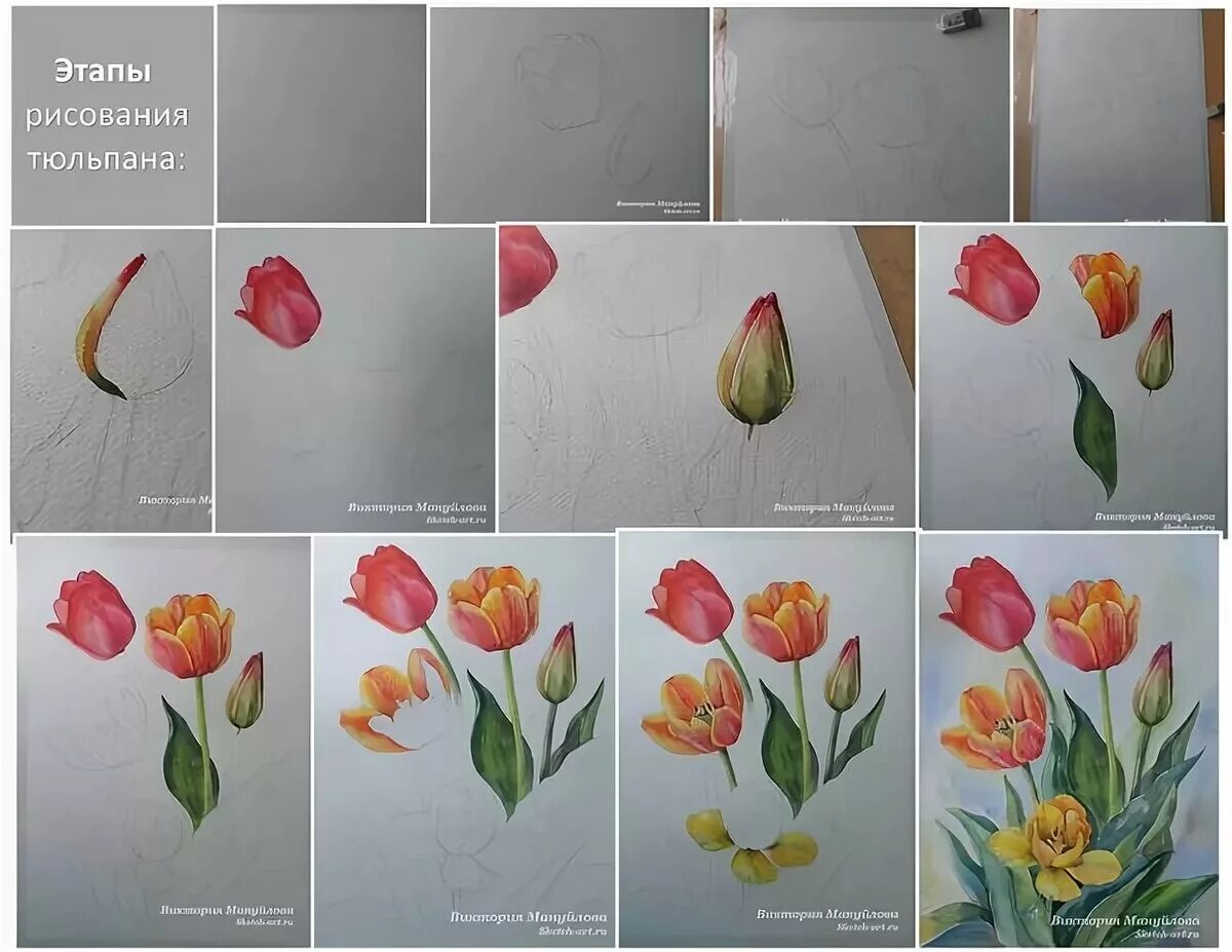 рисование цветов красками. простые цветы красками. цветы нарисованные акварелью. рисование цветов красками. цветы рисунок красками.