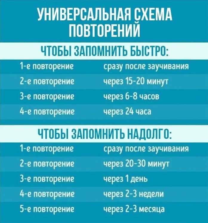 Как не забывать информацию. Как запомнить информацию быстро и надолго. Как запоминать быстро и надолго. Как быстро запомнить информацию. Как запонить информацию на долго.