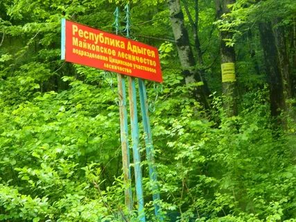 Черниговское дагомыс