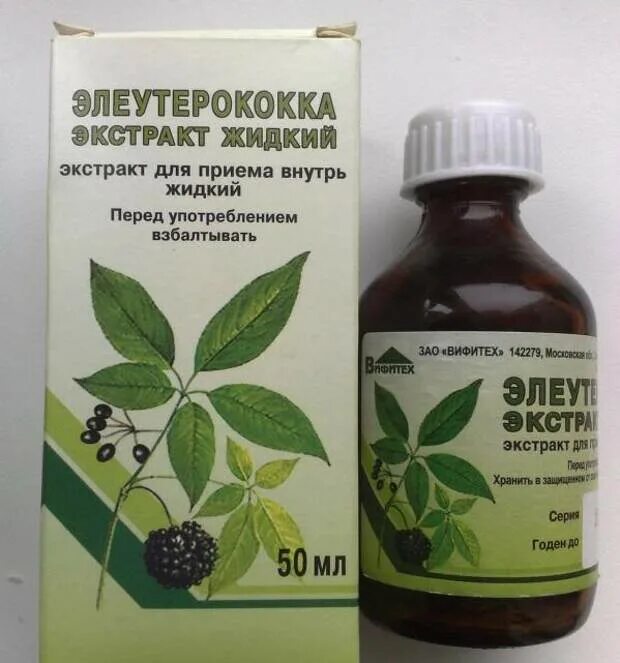 Левзея элеутерококк женьшень лимонник родиола аралия. Левзеи элеутерококка женьшень. Элеутерококк для волос. Заманиха элеутерококк. Растения адаптогены.