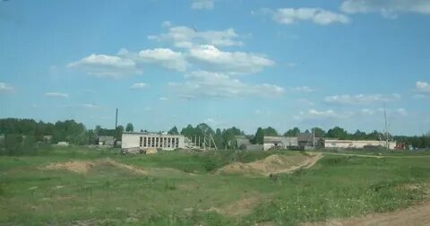 Борок вологодская область
