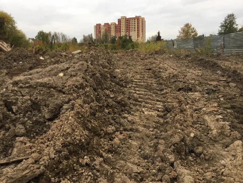 Городские почвы. Почвы Москвы. Загрязнение почвы в Москве. Почвы Московской области.