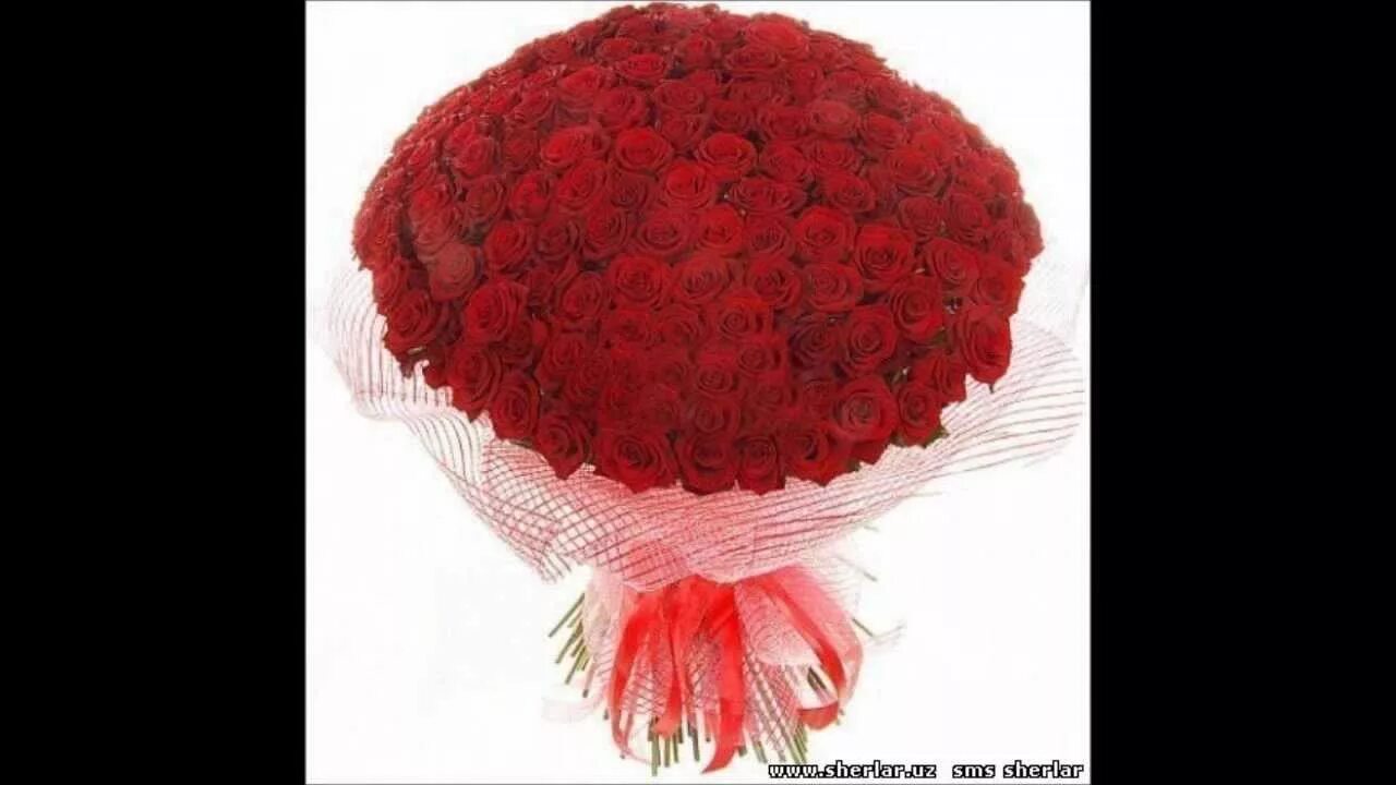 Суханхои дилшикаста. Гул барои. Гул барои. Гул ошик. Зодруз муборак хамсарам.