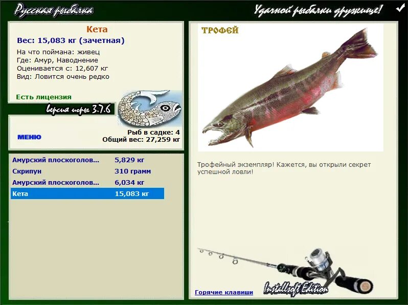 кета филе упаковка. кета коды. кета в упаковке. филе кета русское море кусок х/к. кета коды.