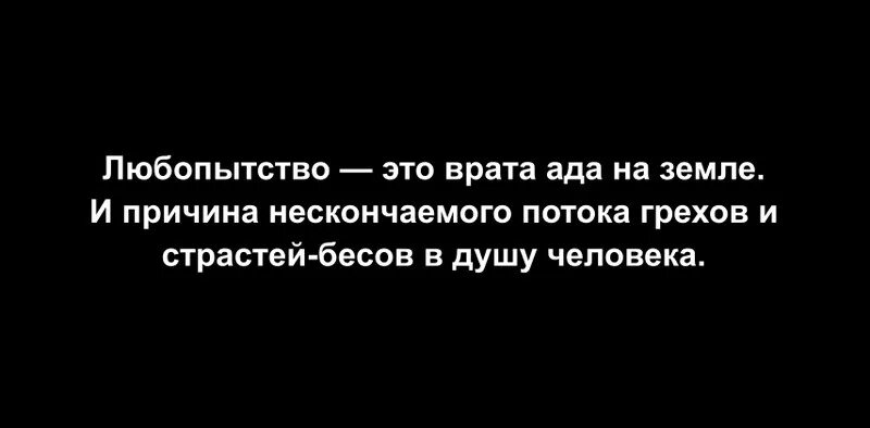 Выражение любопытство. Цитаты про любопытных. любопытные люди цитаты. фразы про любопытство. любопытство цитаты.