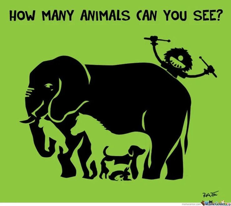 Many animal owners. How many animals. Картинка how many animals. How many animals can you see. What animals can you see.