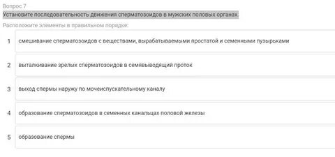 Установите последовательность движения