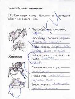 Рассмотрите схему дополните ее