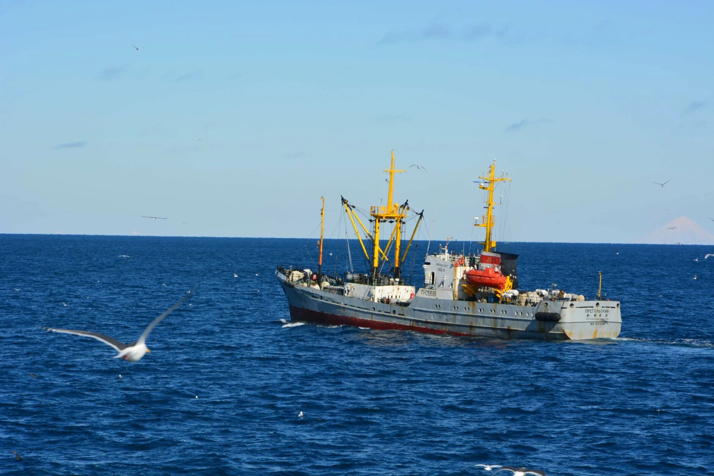 Рыбная флотилия. Сейнер ольхон. Рыбная промышленность россии. Рыболовные траулеры бмрт. Рыболовные суда россии.